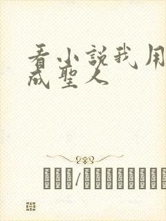 看小说我用闲书成圣人