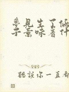 梦见生了俩男孩子意味着什么