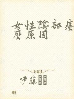 女性阴部瘙痒什么原因