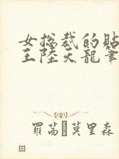 女总裁的贴身兵王陆天龙笔趣阁