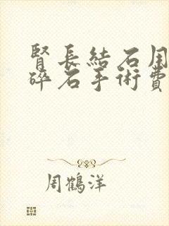 肾长结石用激光碎石手术费用要多少钱