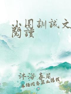 小圈训诫文免费阅读