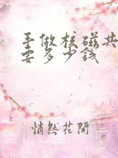 手做核磁共振需要多少钱