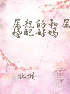 属龙的和属蛇的婚配好吗