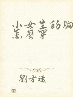 小女生的胸罩该怎么穿