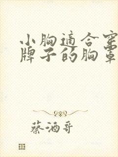 小胸适合穿什么牌子的胸罩