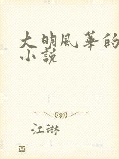 大明风华的原著小说