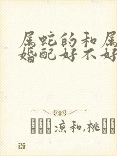 属蛇的和属马的婚配好不好