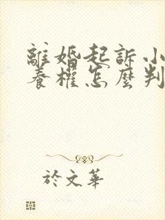 离婚起诉小孩抚养权怎么判