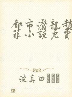 都市潜龙赵东苏菲小说免费阅读完整版