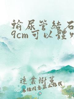 输尿管结石1.9cm可以体外碎石吗