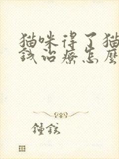 猫咪得了猫瘟没钱治疗怎么办