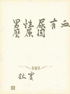 男性尿有血是什么原因