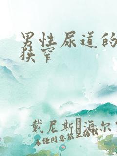 男性尿道的三处狭窄