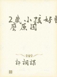 2岁小孩好动什么原因