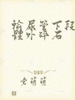 输尿管下段结石体外碎石