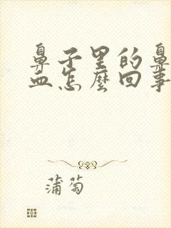 鼻子里的鼻屎有血怎么回事