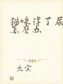 猫咪得了尿闭症怎么办