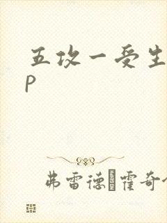 五攻一受生子np