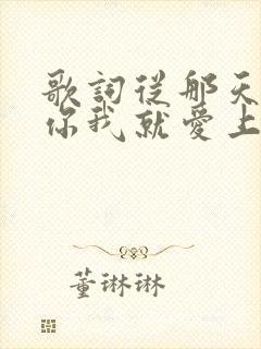 歌词从那天遇见你我就爱上你