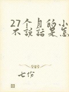 27个月的小孩不说话是怎么回事