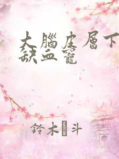 大脑皮层下点状缺血灶