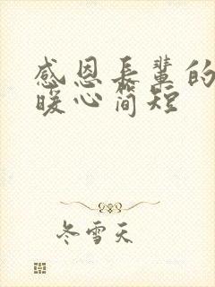 感恩长辈的话语暖心简短