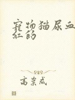 宠物猫尿血了鲜红的