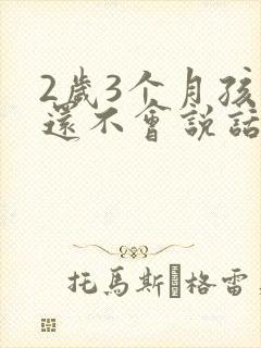 2岁3个月孩子还不会说话