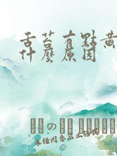 舌苔有点黄腻是什么原因