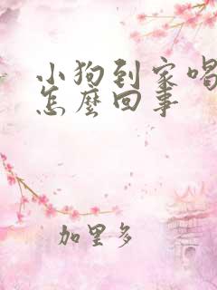 小狗到家喝水吐怎么回事