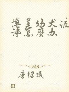 博美幼犬流清鼻涕怎么办