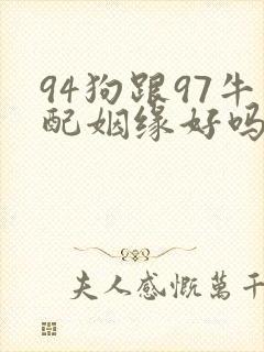 94狗跟97牛配姻缘好吗