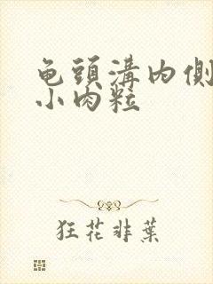 龟头沟内侧长有小肉粒