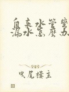 自来水管弯头处漏水怎么办