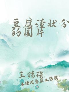 豆腐渣状分泌物的图片