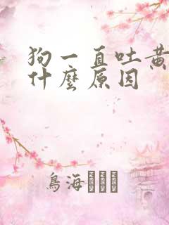 狗一直吐黄水是什么原因