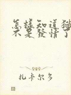 怎样知道猫咪是不是发情了