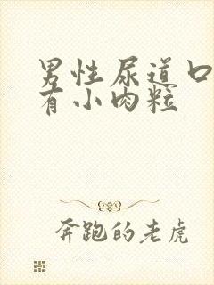 男性尿道口两边有小肉粒