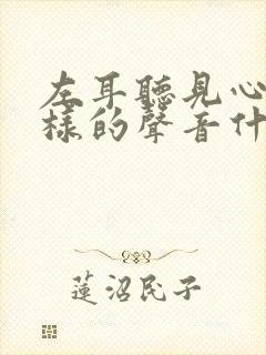 左耳听见心跳一样的声音什么原因