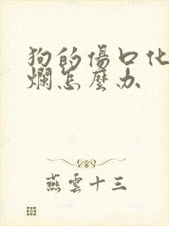 狗的伤口化脓溃烂怎么办