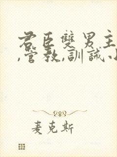 君臣双男主惩罚,管教,训诫小说