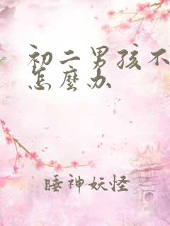 初二男孩不上学怎么办