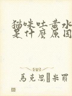 猫咪吐黄水白水是什么原因