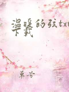 温暖的弦txt下载