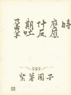 孕期什么时候有孕吐反应