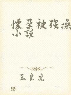 怀孕被强操高潮小说