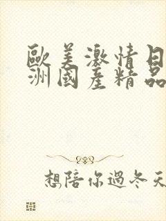 欧美激情日韩亚洲国产精品