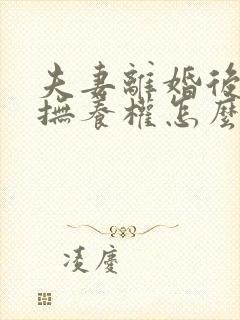 夫妻离婚后孩子抚养权怎么判