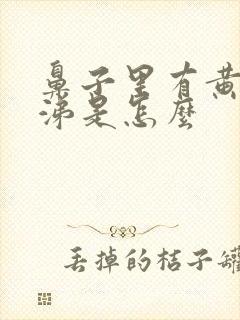 鼻子里有黄脓鼻涕是怎么